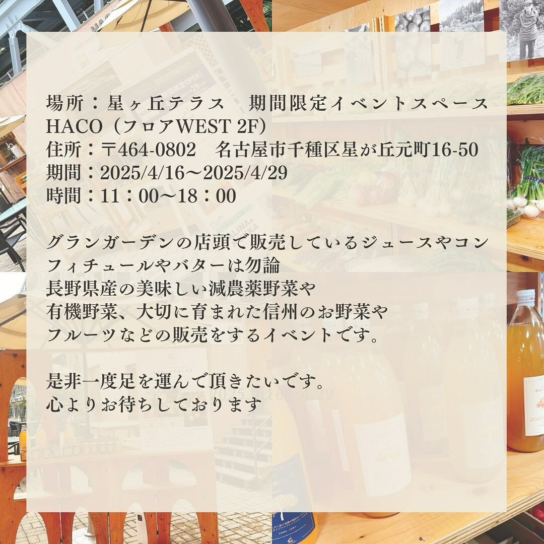 🌼グランガーデンからのお知らせ🌼