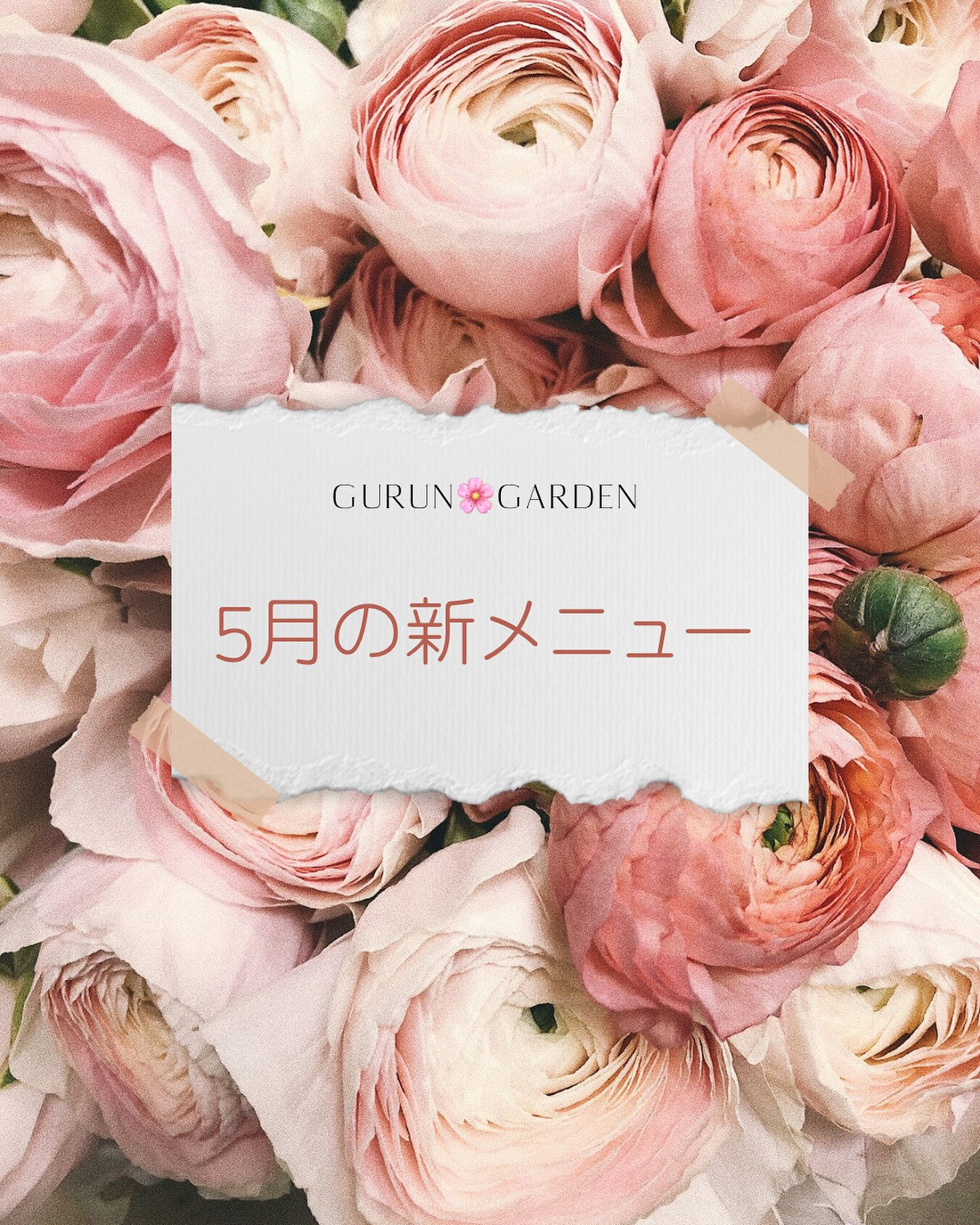 Gurun🌸Garden